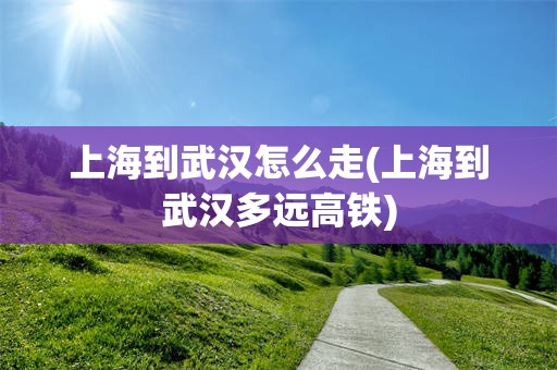上海到武汉怎么走(上海到武汉多远高铁)