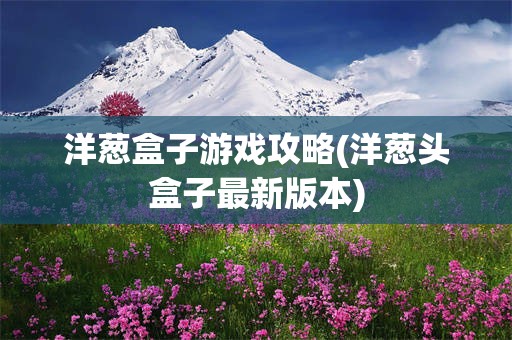 洋葱盒子游戏攻略(洋葱头盒子最新版本)