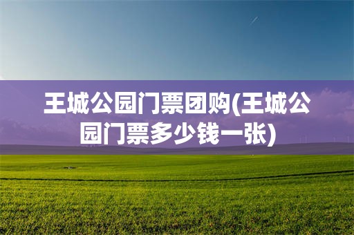 王城公园门票团购(王城公园门票多少钱一张)
