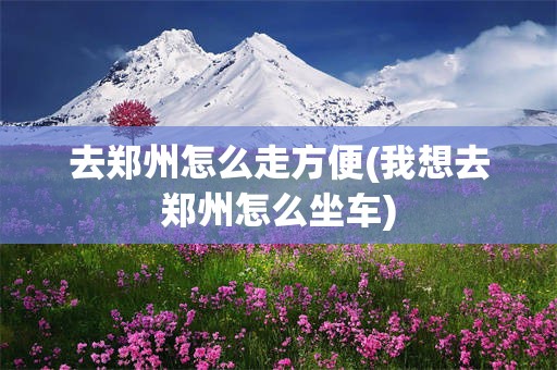 去郑州怎么走方便(我想去郑州怎么坐车)
