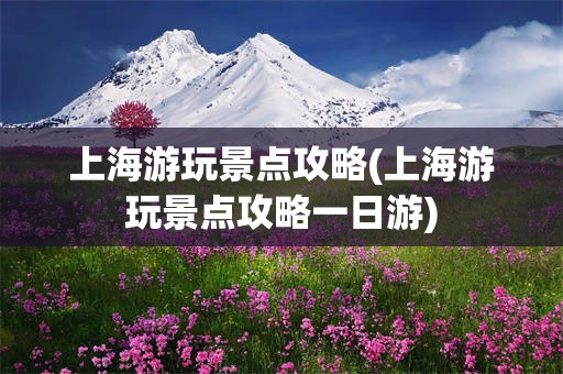 上海游玩景点攻略(上海游玩景点攻略一日游)