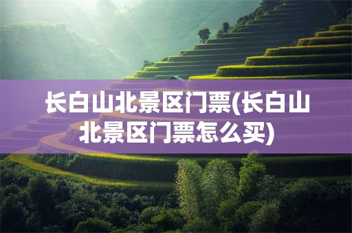 长白山北景区门票(长白山北景区门票怎么买)