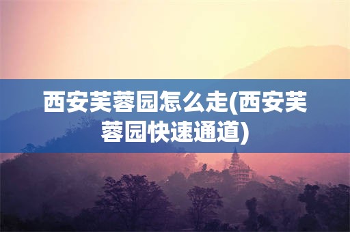 西安芙蓉园怎么走(西安芙蓉园快速通道)