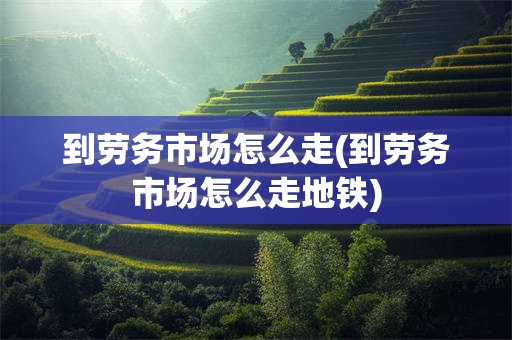 到劳务市场怎么走(到劳务市场怎么走地铁)