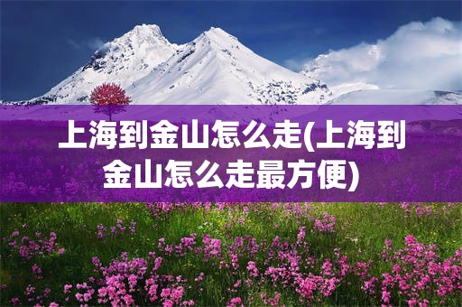 上海到金山怎么走(上海到金山怎么走最方便)