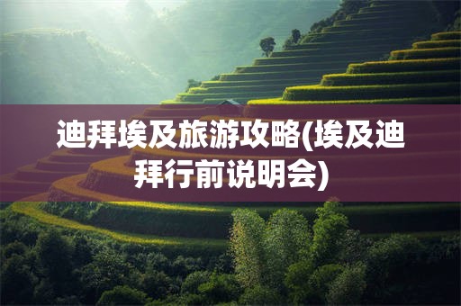 迪拜埃及旅游攻略(埃及迪拜行前说明会)