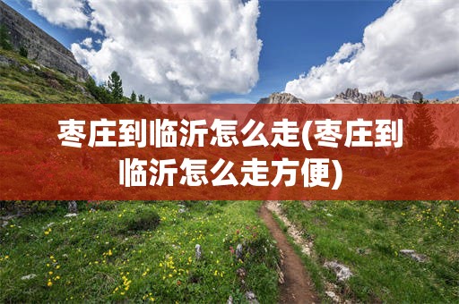 枣庄到临沂怎么走(枣庄到临沂怎么走方便)