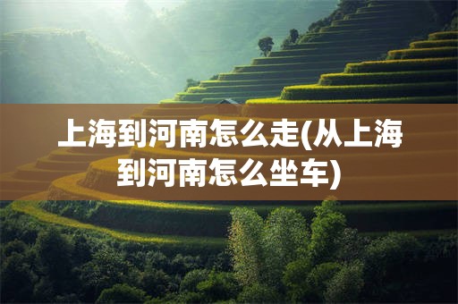 上海到河南怎么走(从上海到河南怎么坐车)