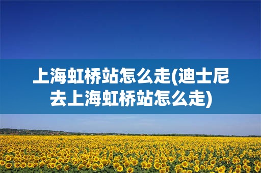 上海虹桥站怎么走(迪士尼去上海虹桥站怎么走)