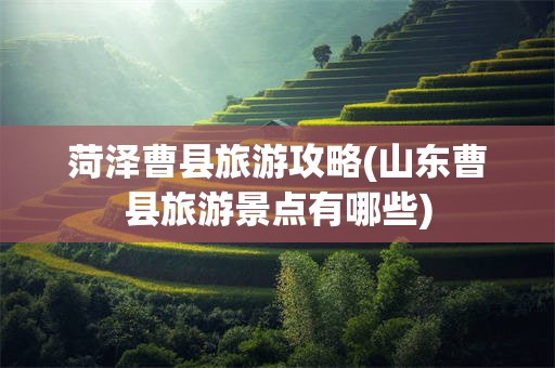 菏泽曹县旅游攻略(山东曹县旅游景点有哪些)