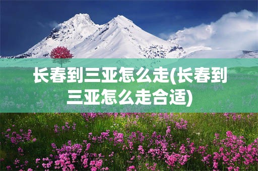长春到三亚怎么走(长春到三亚怎么走合适)