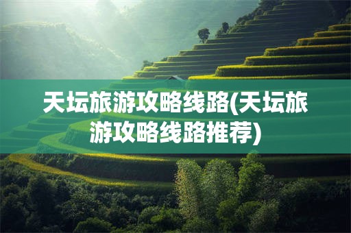 天坛旅游攻略线路(天坛旅游攻略线路推荐)
