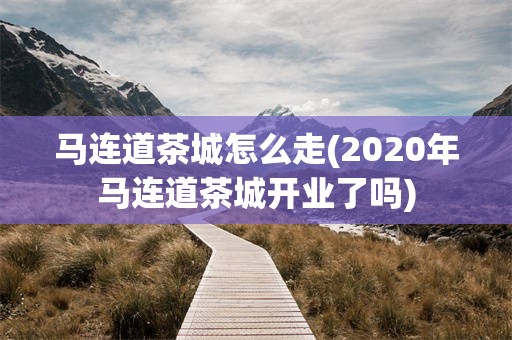 马连道茶城怎么走(2020年马连道茶城开业了吗)