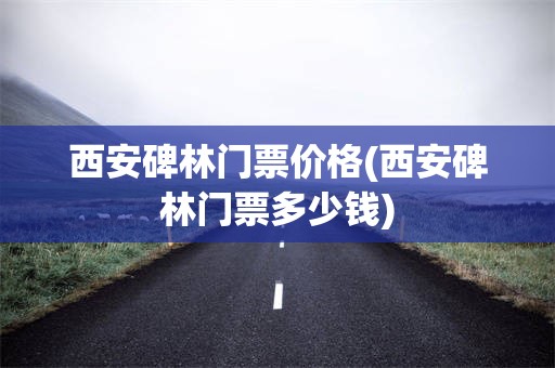 西安碑林门票价格(西安碑林门票多少钱)