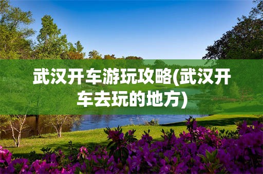 武汉开车游玩攻略(武汉开车去玩的地方)