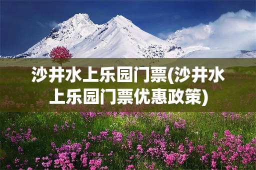 沙井水上乐园门票(沙井水上乐园门票优惠政策)