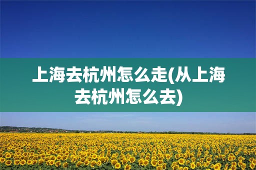 上海去杭州怎么走(从上海去杭州怎么去)