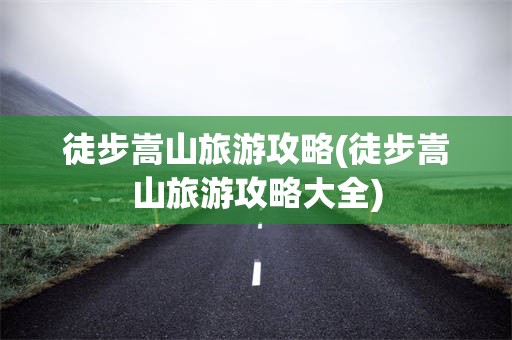 徒步嵩山旅游攻略(徒步嵩山旅游攻略大全)