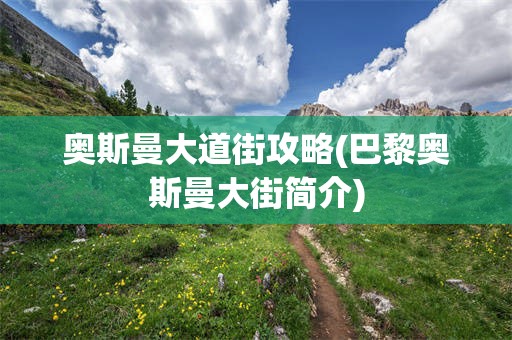 奥斯曼大道街攻略(巴黎奥斯曼大街简介)