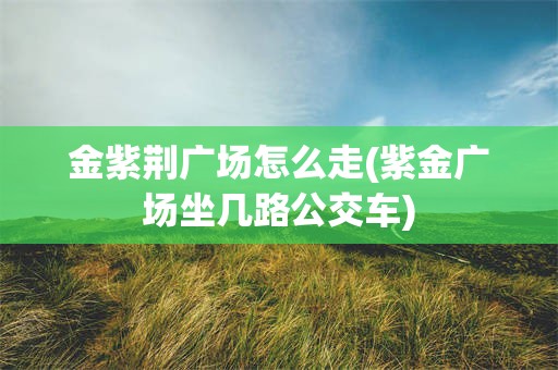 金紫荆广场怎么走(紫金广场坐几路公交车)