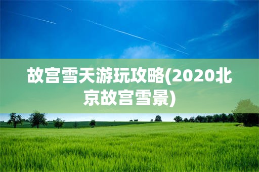 故宫雪天游玩攻略(2020北京故宫雪景)