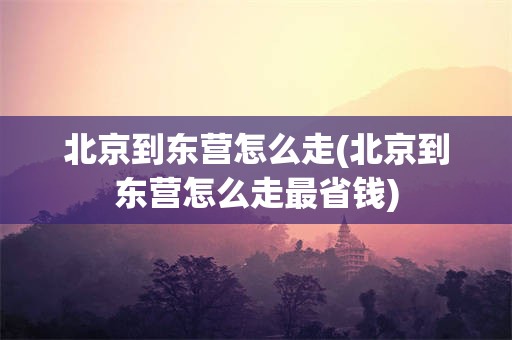 北京到东营怎么走(北京到东营怎么走最省钱)