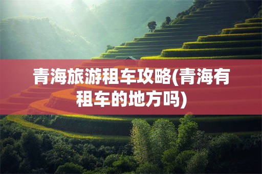 青海旅游租车攻略(青海有租车的地方吗)