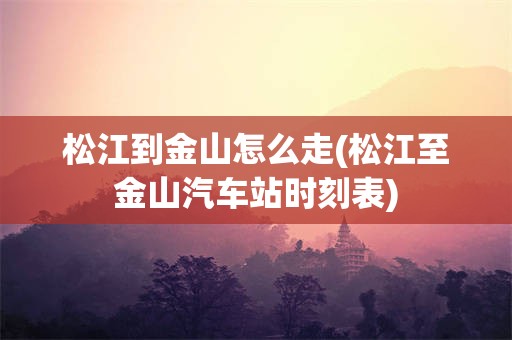 松江到金山怎么走(松江至金山汽车站时刻表)