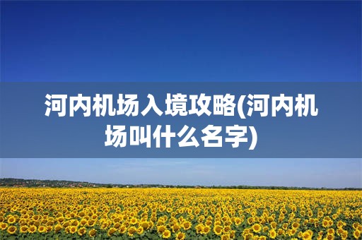 河内机场入境攻略(河内机场叫什么名字)