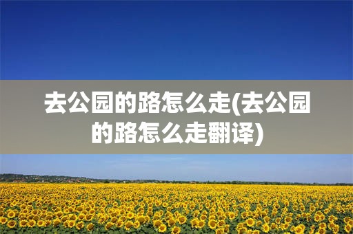去公园的路怎么走(去公园的路怎么走翻译)