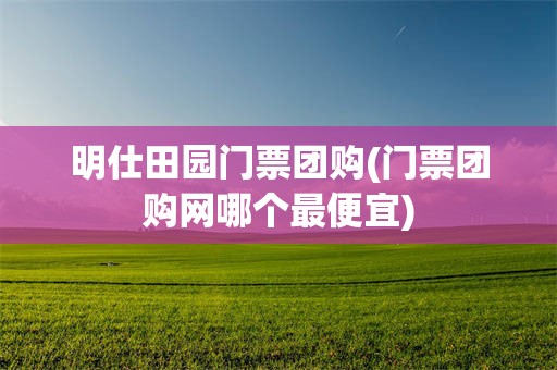明仕田园门票团购(门票团购网哪个最便宜)