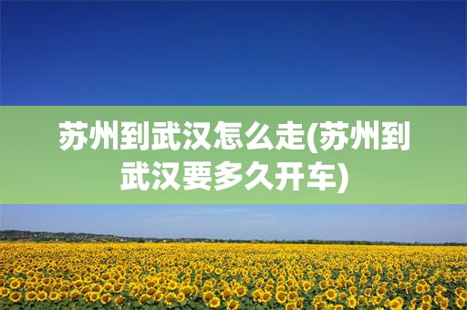 苏州到武汉怎么走(苏州到武汉要多久开车)