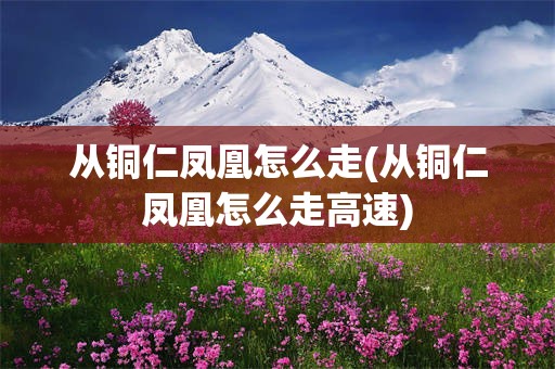 从铜仁凤凰怎么走(从铜仁凤凰怎么走高速)