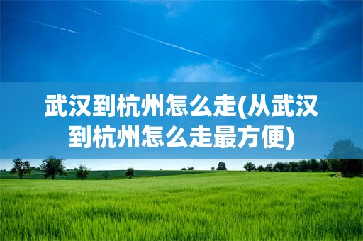 武汉到杭州怎么走(从武汉到杭州怎么走最方便)