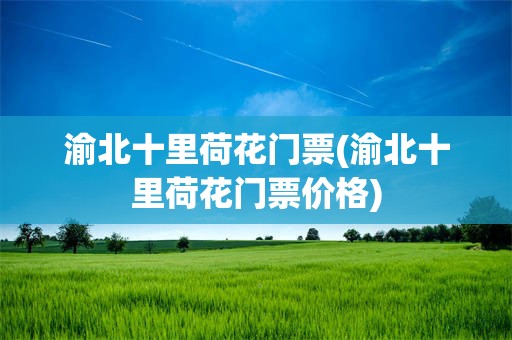 渝北十里荷花门票(渝北十里荷花门票价格)