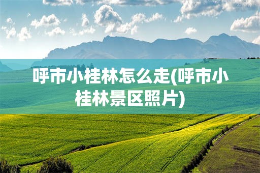 呼市小桂林怎么走(呼市小桂林景区照片)