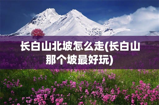 长白山北坡怎么走(长白山那个坡最好玩)