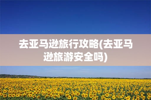 去亚马逊旅行攻略(去亚马逊旅游安全吗)