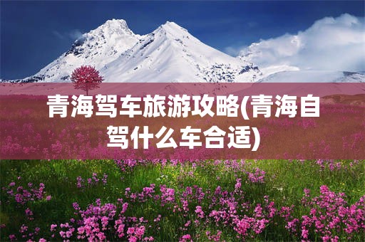 青海驾车旅游攻略(青海自驾什么车合适)