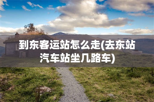 到东客运站怎么走(去东站汽车站坐几路车)