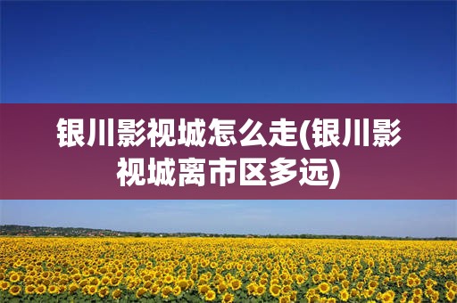银川影视城怎么走(银川影视城离市区多远)
