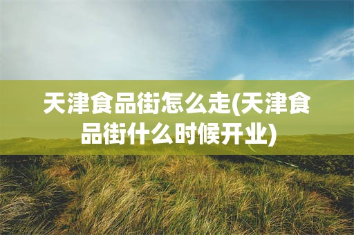 天津食品街怎么走(天津食品街什么时候开业)