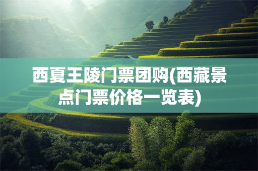 西夏王陵门票团购(西藏景点门票价格一览表)