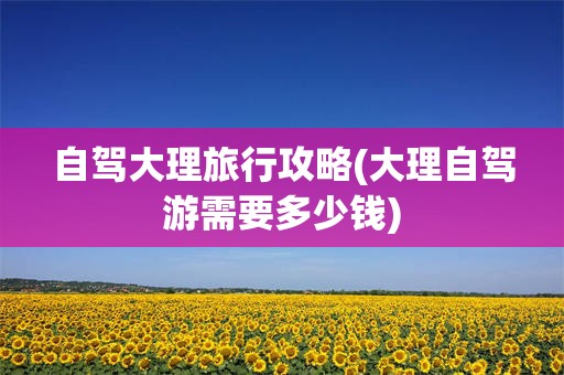 自驾大理旅行攻略(大理自驾游需要多少钱)
