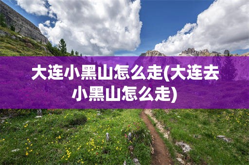 大连小黑山怎么走(大连去小黑山怎么走)