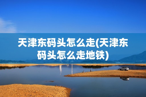 天津东码头怎么走(天津东码头怎么走地铁)