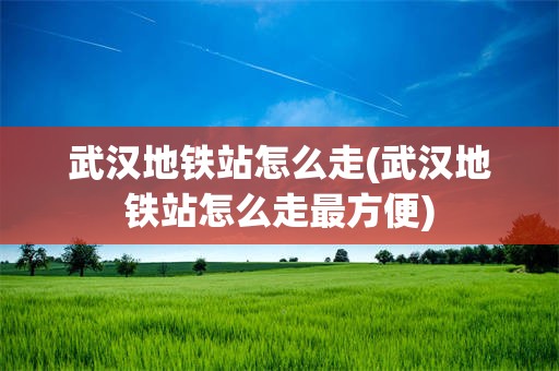 武汉地铁站怎么走(武汉地铁站怎么走最方便)