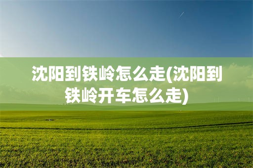 沈阳到铁岭怎么走(沈阳到铁岭开车怎么走)