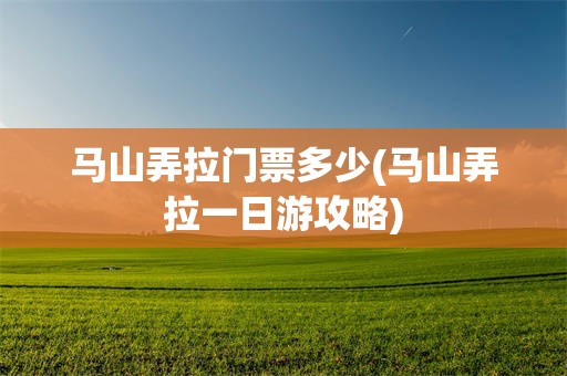 马山弄拉门票多少(马山弄拉一日游攻略)