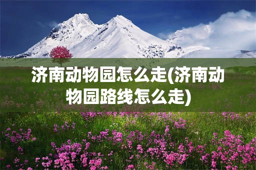 济南动物园怎么走(济南动物园路线怎么走)